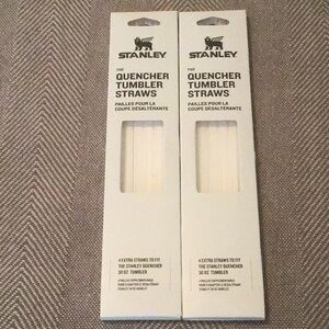 Stanley Quencher Tumbler Straws 2 packs 4 straws each built for life